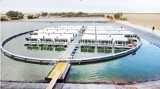 Floating solar electric systems