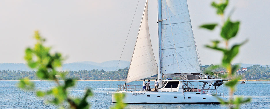 Get your fill of whales and good food on board a yacht