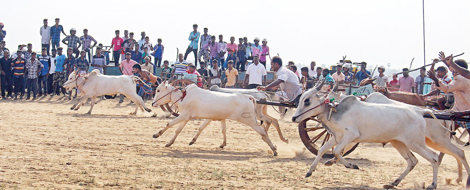 Thirikkal racing still raises hackles