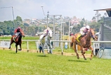 Alcazaba and Captain Haddock gave the stable a double