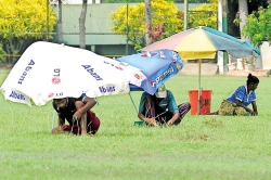 Gardeners, not umbrella lovers