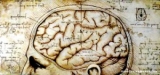 Neurology: Straining every nerve for its progress