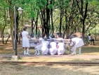 Mid-day meal on Midwives Day on Park bench