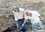 Avurudu ritual leads to discovery of ancient wooden sluice in Kohombankulama