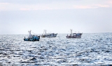IUU fishing by Tamil Nadu trawlers:  Lankan fishermen cast net on Modi