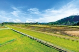 Huge stakes at the proposed Nuwara Eliya Training centre