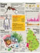 War footing against dengue