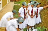 Environmental leaders of Kirama cleaned their school premises