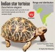 Tortoise catch sheds light on another front in  criminal wildlife trade