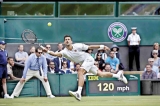 Wimbledon 2017 warmups