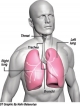 Lung health gets a powerful breath
