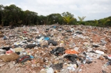 Dumping garbage on Muthurajawela wetlands adversely impacts environment