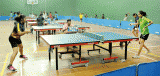 SL Table Tennis Association plays ping pong with AGM