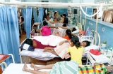 Dengue infections and deaths stretch  Lanka to the limits