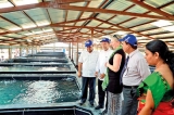 EU and UNDP officials visit  development projects in Batticaloa