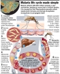 Learning from Malaria