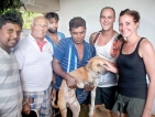 A honeymooning couple’s hearts go out to injured stray