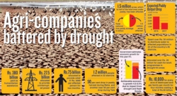 Agri-companies battered by drought