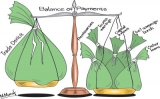 Balance of payments surplus despite large trade deficit and lower remittances