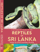 Handy guide to Sri Lanka’s reptiles