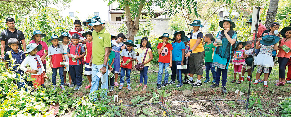 Open Day at the MJF Centre