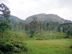 Abode of ‘Kohamba Deviya’ endangered