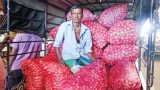 Farmers say local B-onions losing out to imported B-onions