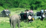 Jumbo 17 – Sri Lanka Girl Guides Centenary Camp