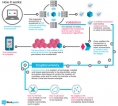 Rise of Bitcoin and crypto-currencies