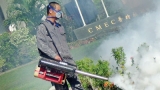 Dengue cases surpass 160,000, short-handed inspectors seek  public support