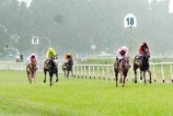 Nuwara Eliya Horse Races rained out for now
