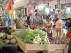 Veggie prices set to stay high until January