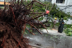 Windy Wednesday: 13 killed, 100,000 affected