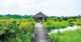 Head to Diyasaru Park, Thalawathugoda for two days with the birds