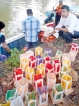 Tsunami  lanterns