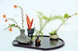 Ikebana in  full bloom