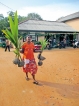 Move to import unhusked coconuts as prices soar