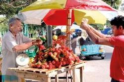 Rambutan during Christmas?