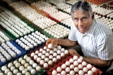 Sri Lanka’s Mr. Egg