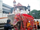 As the New Year dawned  Sri Dalada Maligawa came alive with annual rice ritual