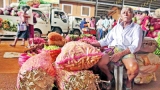 Veggie glut at Dambulla plunges prices as low as they can go