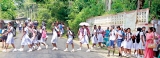 Our vanishing zebra-crossings