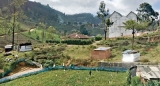 Pedro Tea Estate manager lodges police complaint against squatters