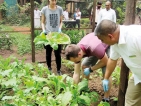 Habarana resort introduces sustainable farming Model in dry zone