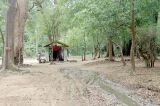 Open access to Yala shrine  via Kataragama-Buttala Road: Jeep owners