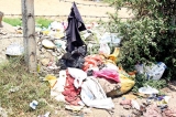 Unsorted garbage a headache for CMC despite mega cleanup