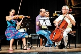 A classical trio, a concert to delight