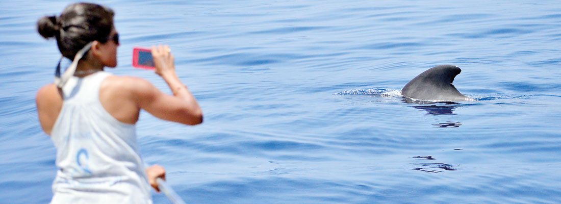 Marine biologist from Sri Lanka wins at British Council’s first-ever global alumni awards