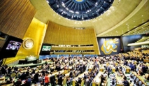 UN exemptions make mockery of sexual abuse in world body