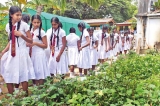 Green Garden, Greenhouse handed over to Pattirippu MV